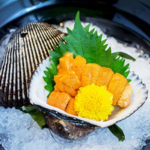 Uni Sashimi